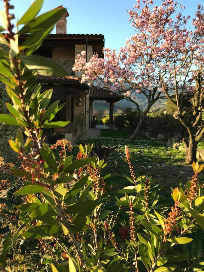 Vitori'S House Tourist Accommodation Ahedo エクステリア 写真