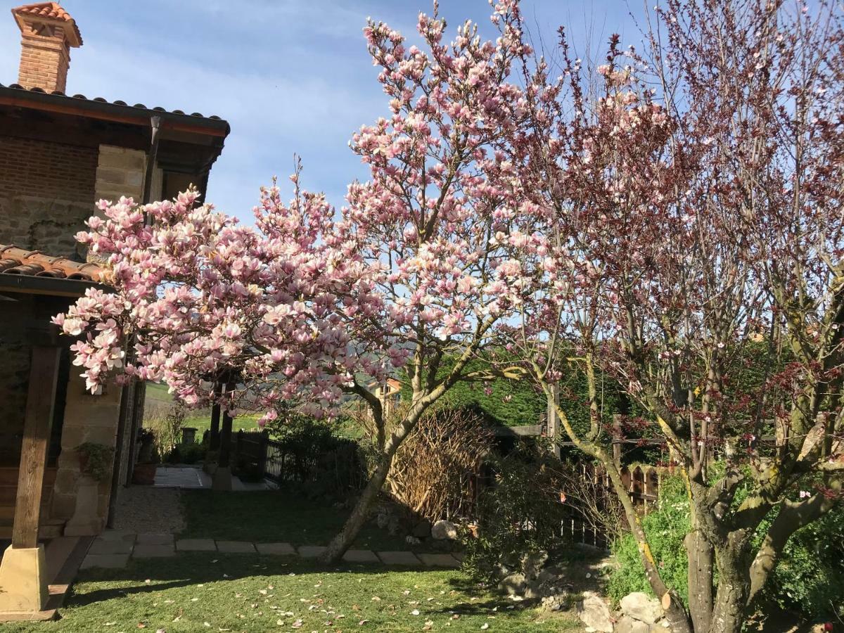 Vitori'S House Tourist Accommodation Ahedo エクステリア 写真